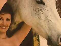 New Porn Videos 38